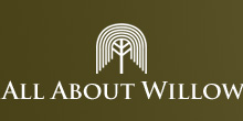 All About Willow logo